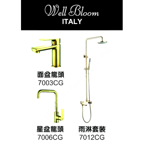 Well Bloom Italy 700CGR 700 系列香檳金龍頭連雨淋套裝